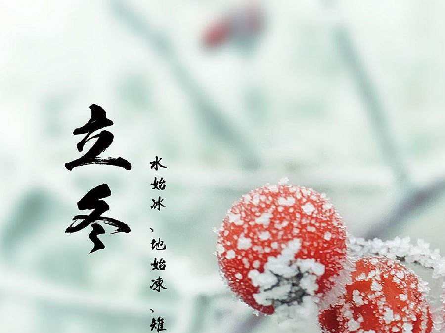 今日立冬，啟睿喊你吃餃子嘍